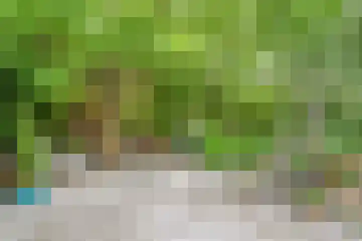 Hollewandsweg 13 Zwolle thumbnail 39