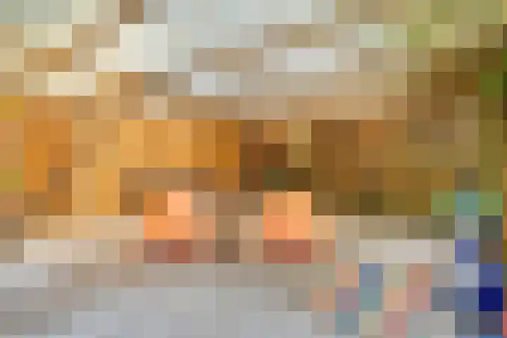 Hollewandsweg 13 Zwolle thumbnail 40