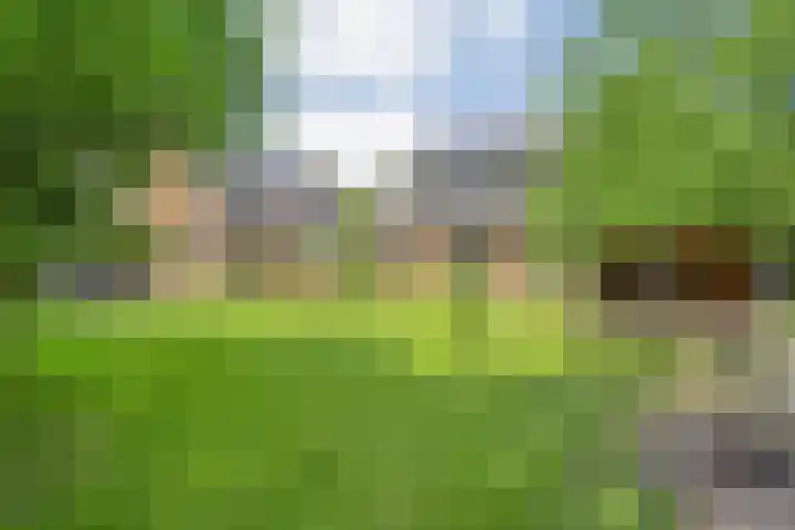 Hollewandsweg 13 Zwolle thumbnail 42