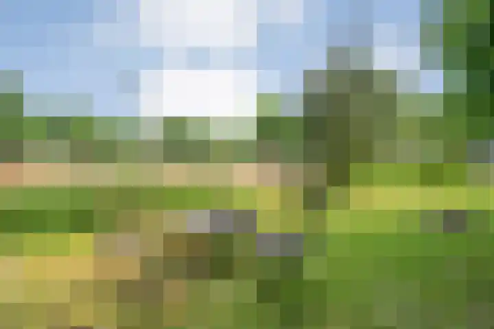 Hollewandsweg 13 Zwolle thumbnail 43