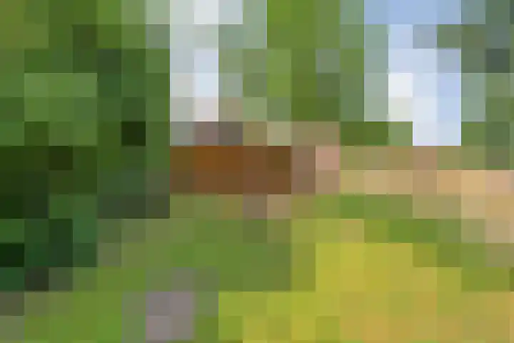 Hollewandsweg 13 Zwolle thumbnail 44