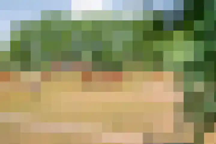 Hollewandsweg 13 Zwolle thumbnail 45
