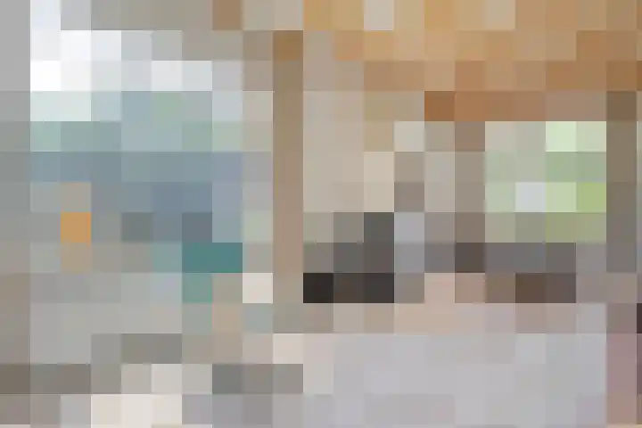 Hollewandsweg 13 Zwolle thumbnail 7