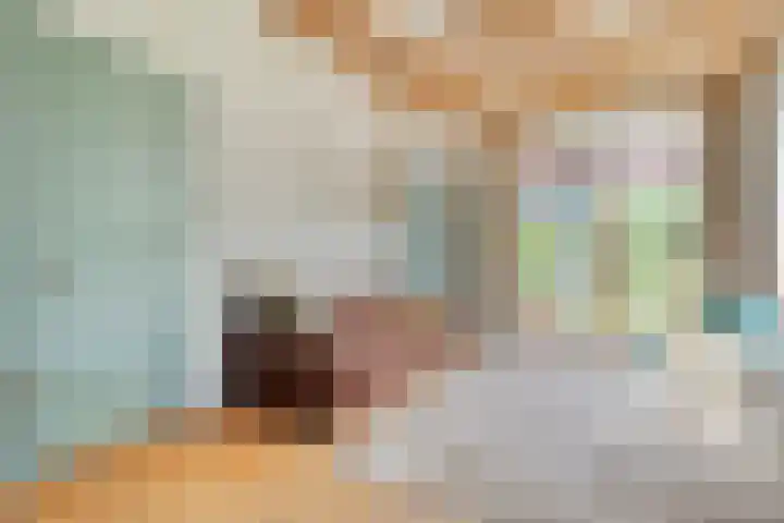 Hollewandsweg 13 Zwolle thumbnail 8
