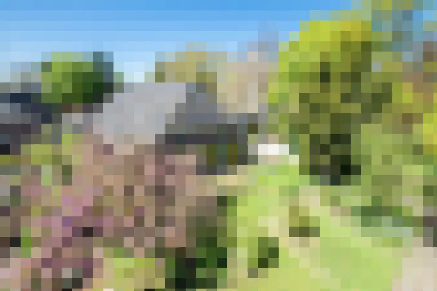 Hollewandsweg 20 Zwolle