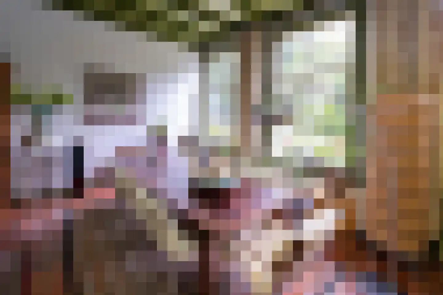 Hollewandsweg 20 Zwolle thumbnail 10