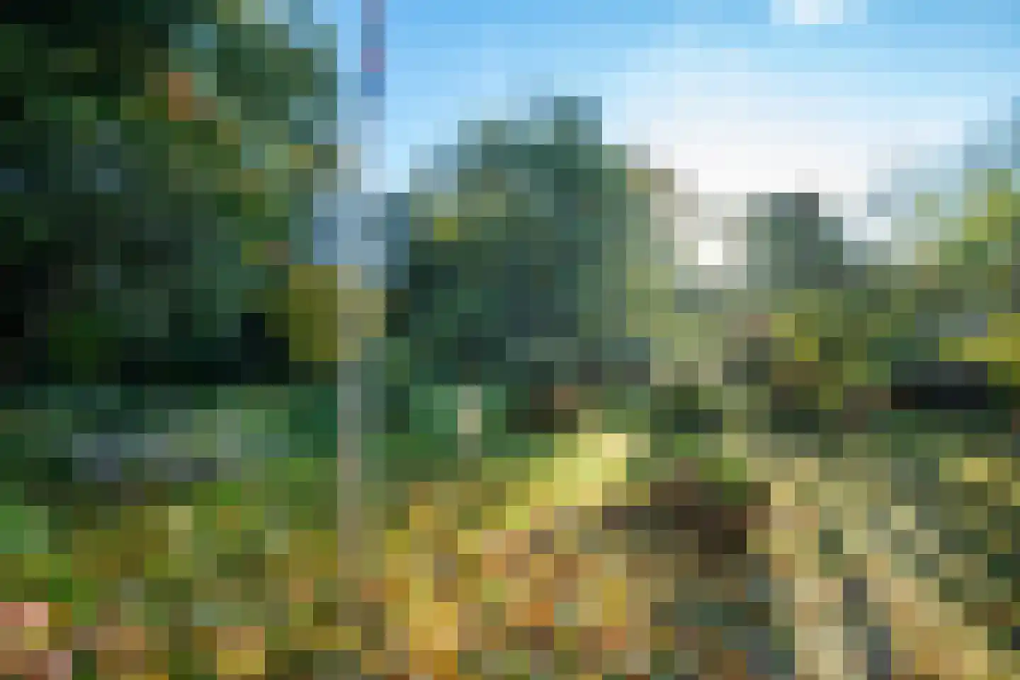 Hollewandsweg 20 Zwolle thumbnail 13