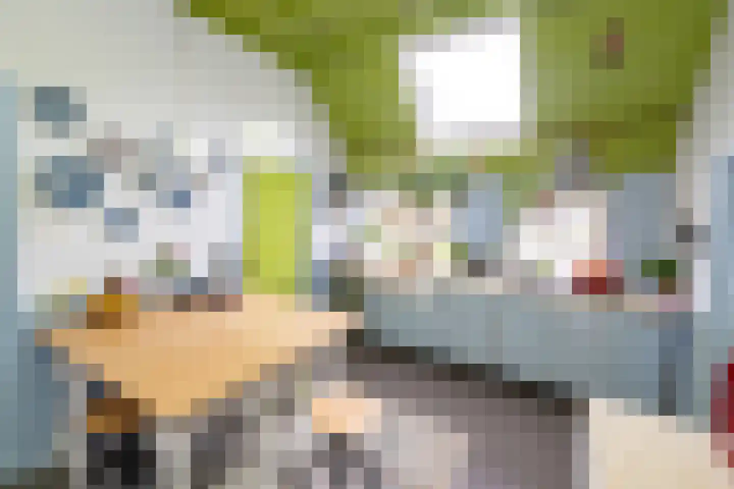 Hollewandsweg 20 Zwolle thumbnail 13
