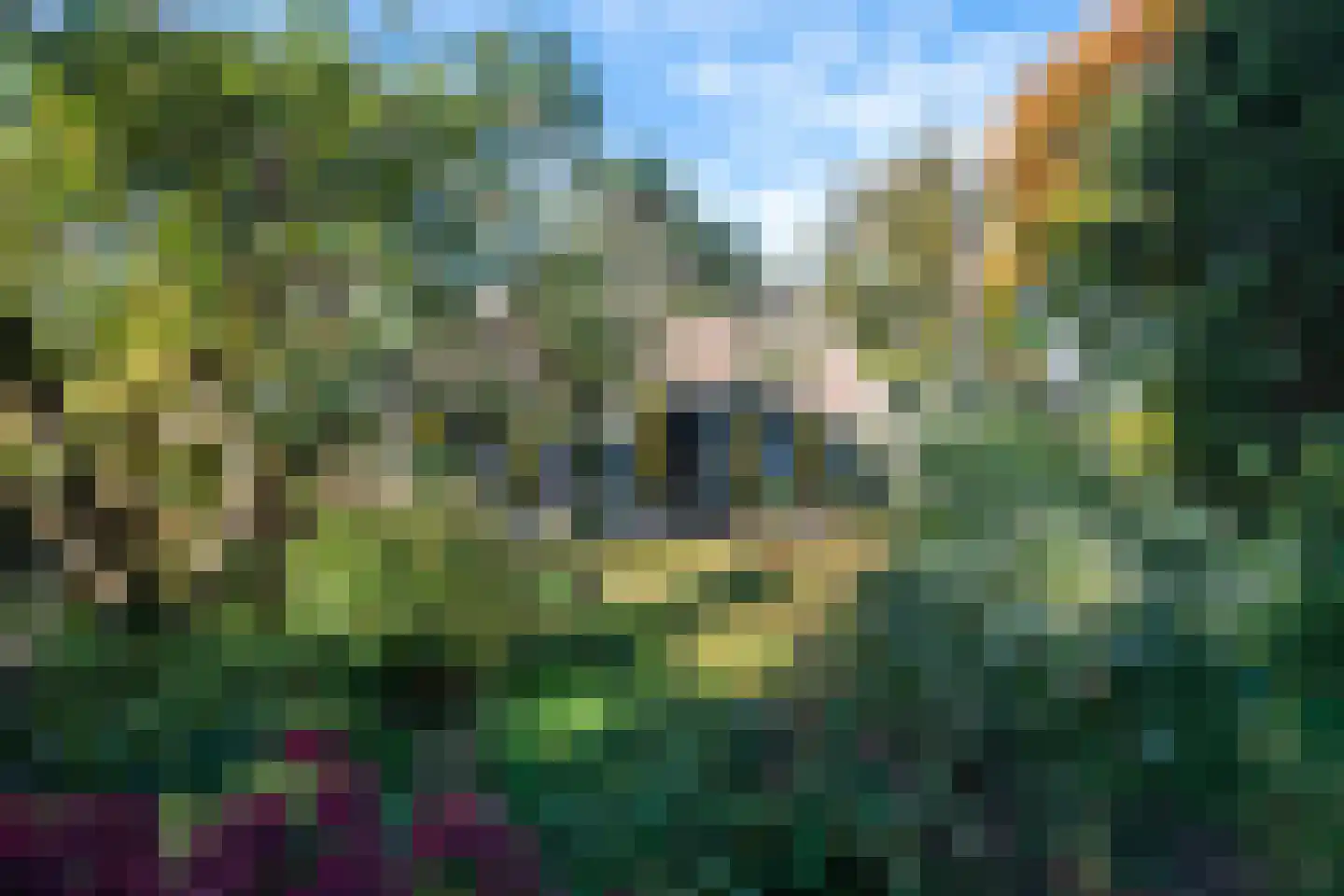 Hollewandsweg 20 Zwolle thumbnail 14
