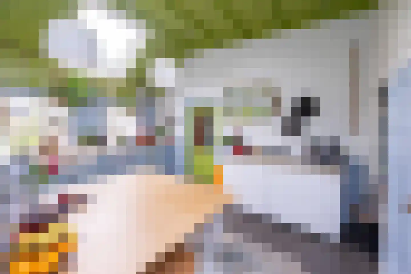 Hollewandsweg 20 Zwolle thumbnail 14