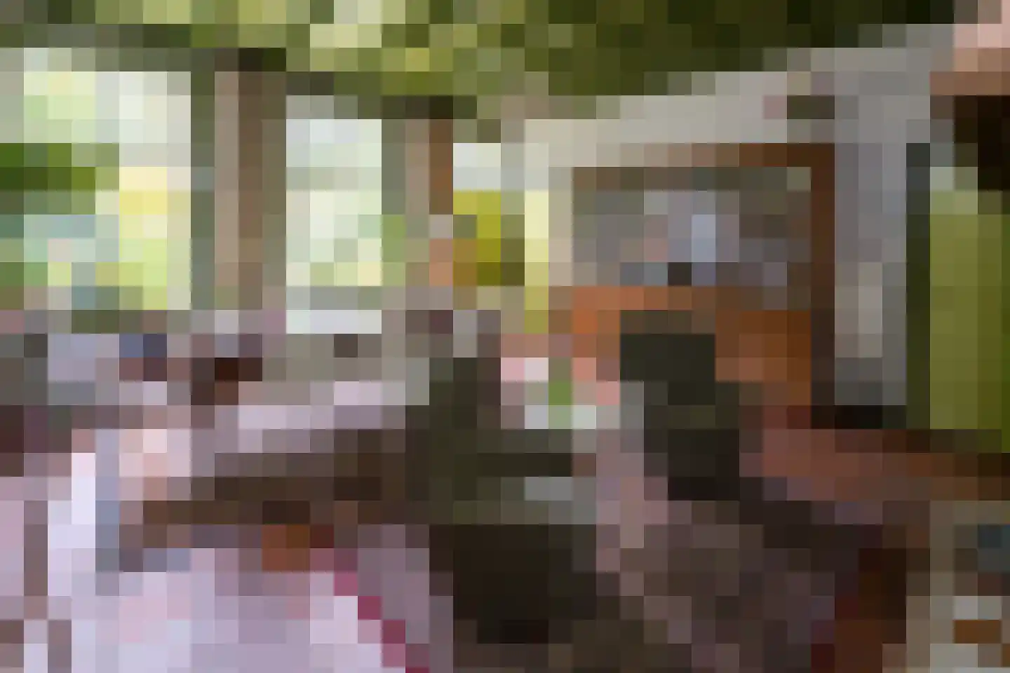 Hollewandsweg 20 Zwolle thumbnail 15