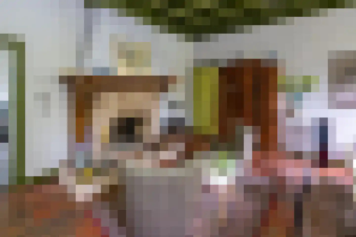 Hollewandsweg 20 Zwolle thumbnail 19
