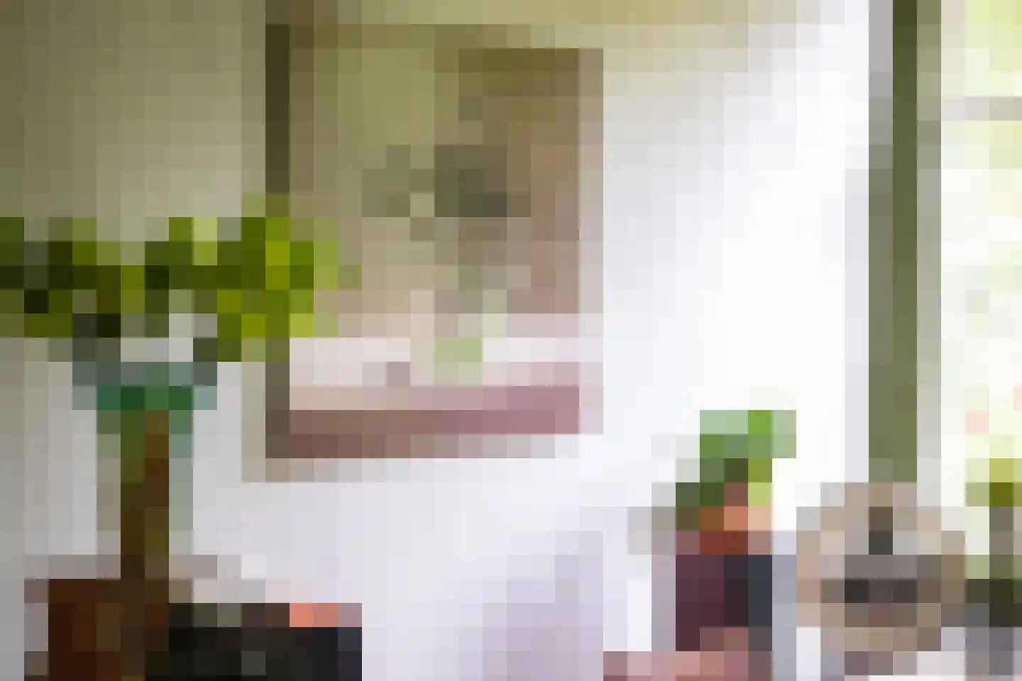 Hollewandsweg 20 Zwolle thumbnail 21