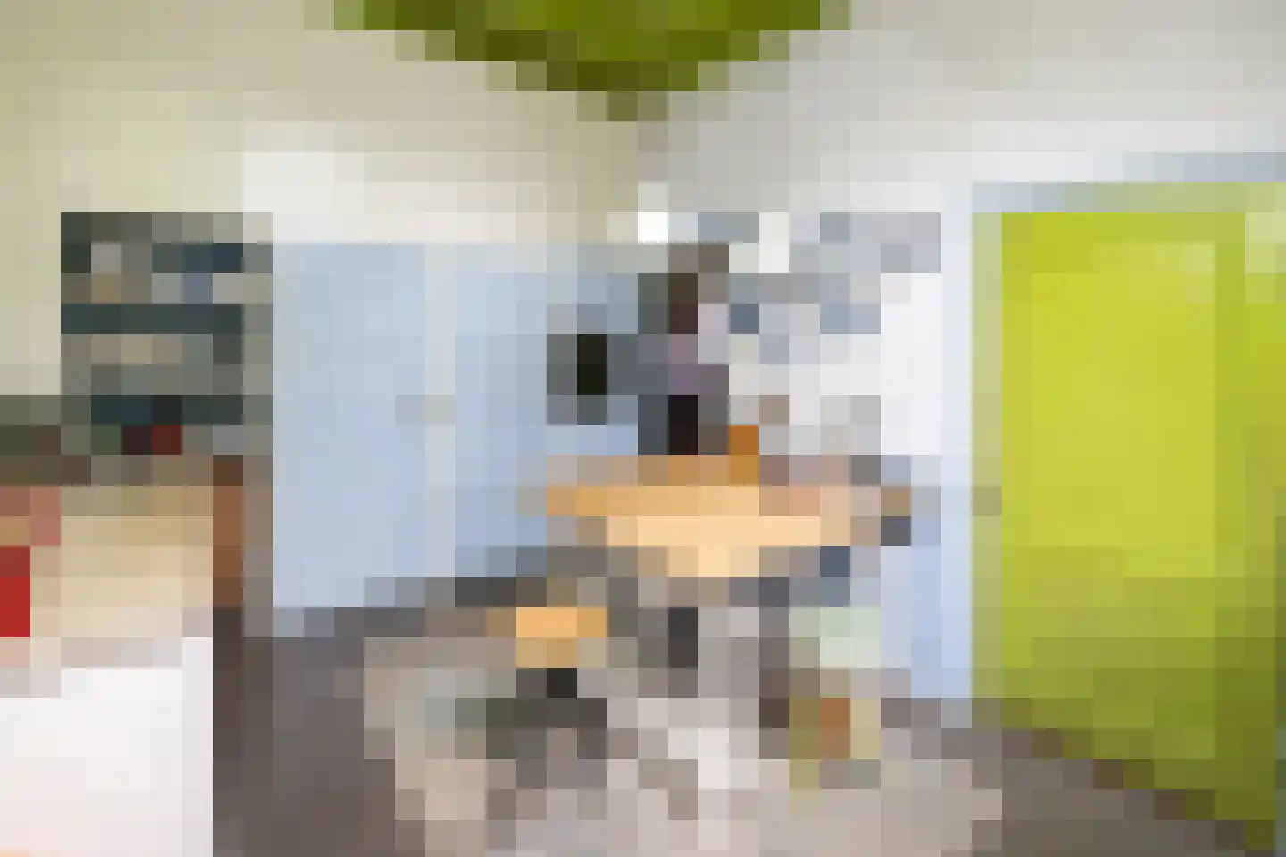 Hollewandsweg 20 Zwolle thumbnail 28