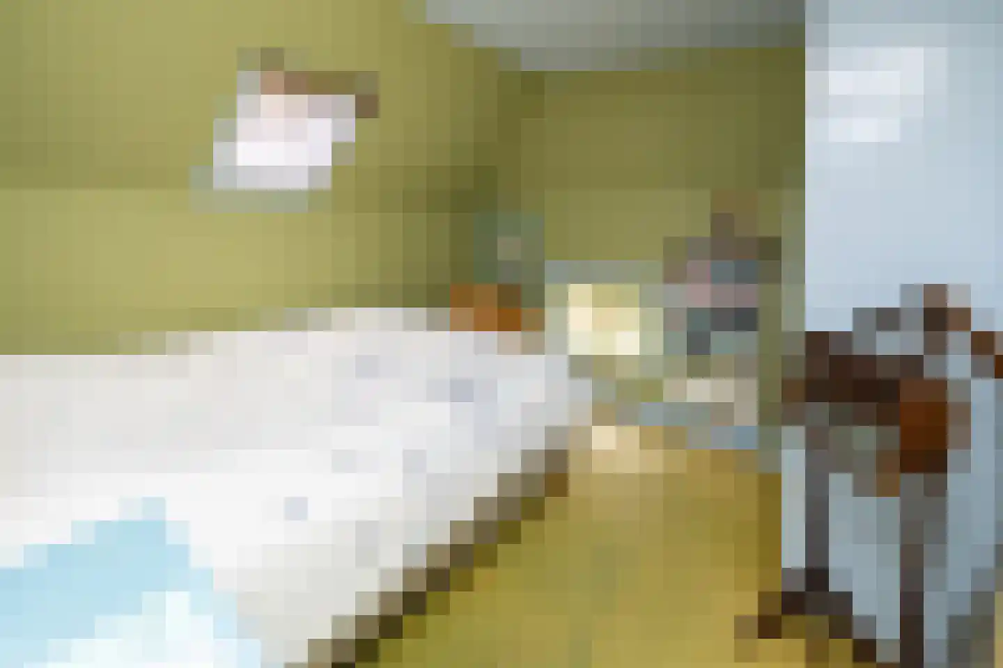 Hollewandsweg 20 Zwolle thumbnail 33