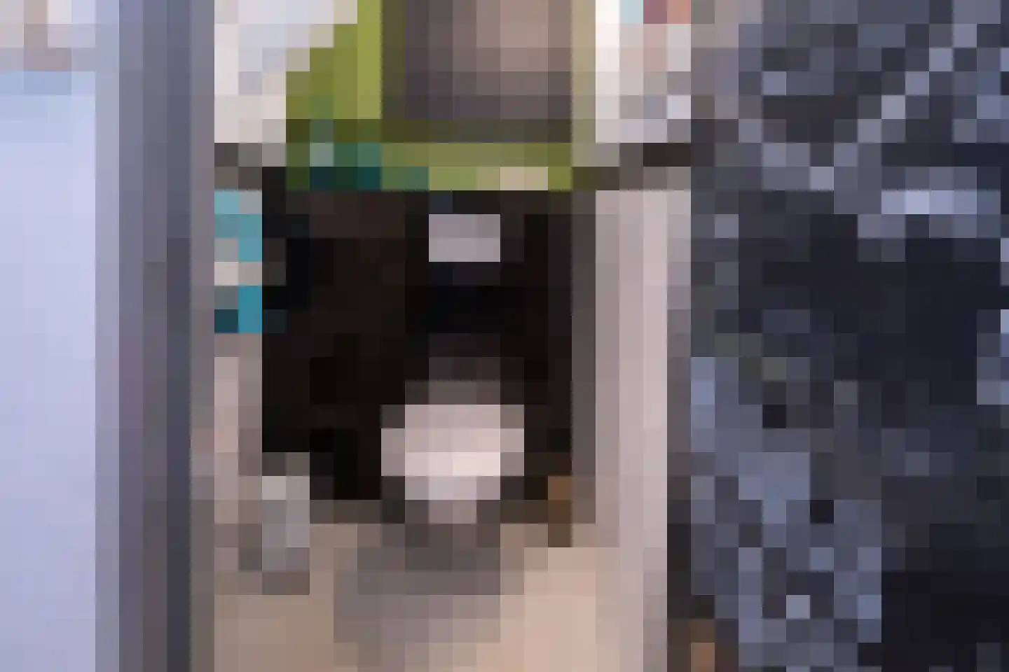 Hollewandsweg 20 Zwolle thumbnail 34
