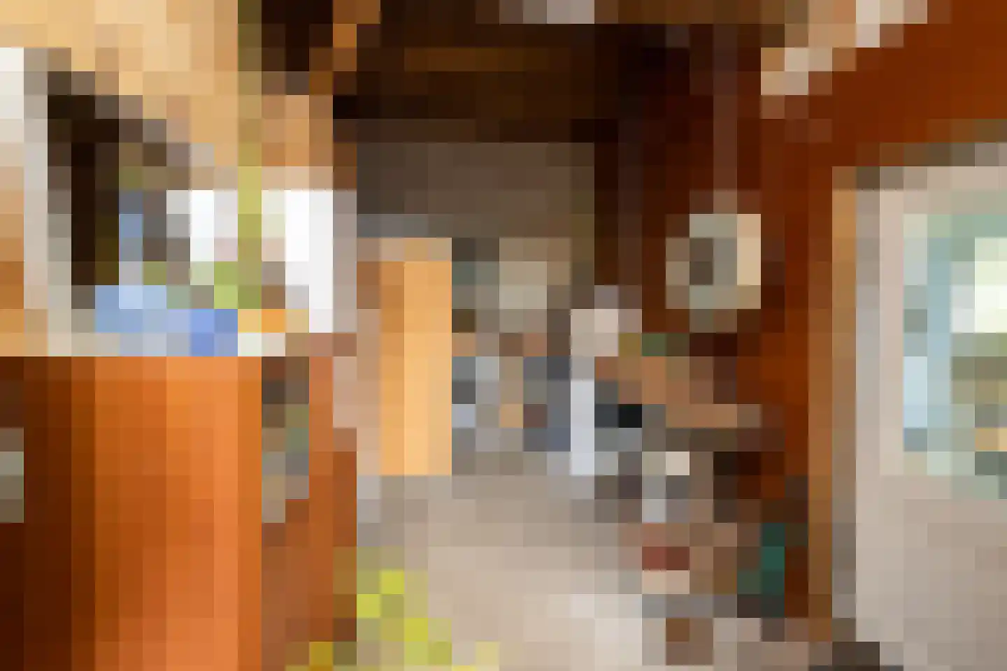 Hollewandsweg 20 Zwolle thumbnail 35