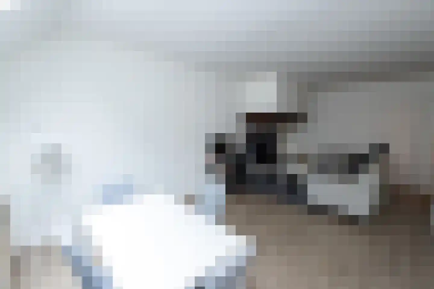 Hollewandsweg 20 Zwolle thumbnail 36