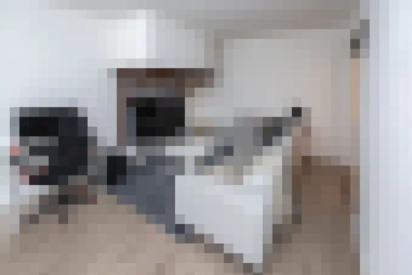 Hollewandsweg 20 Zwolle thumbnail 37