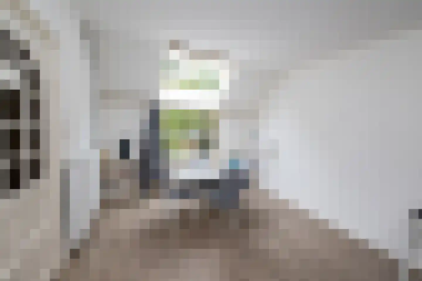 Hollewandsweg 20 Zwolle thumbnail 38