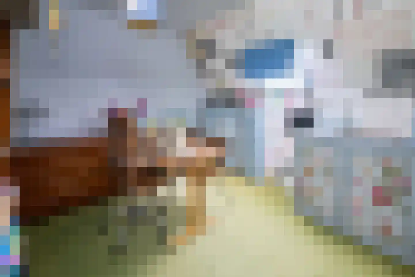 Hollewandsweg 20 Zwolle thumbnail 40