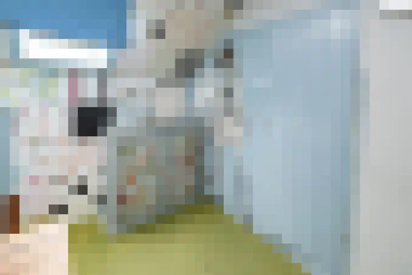 Hollewandsweg 20 Zwolle thumbnail 41