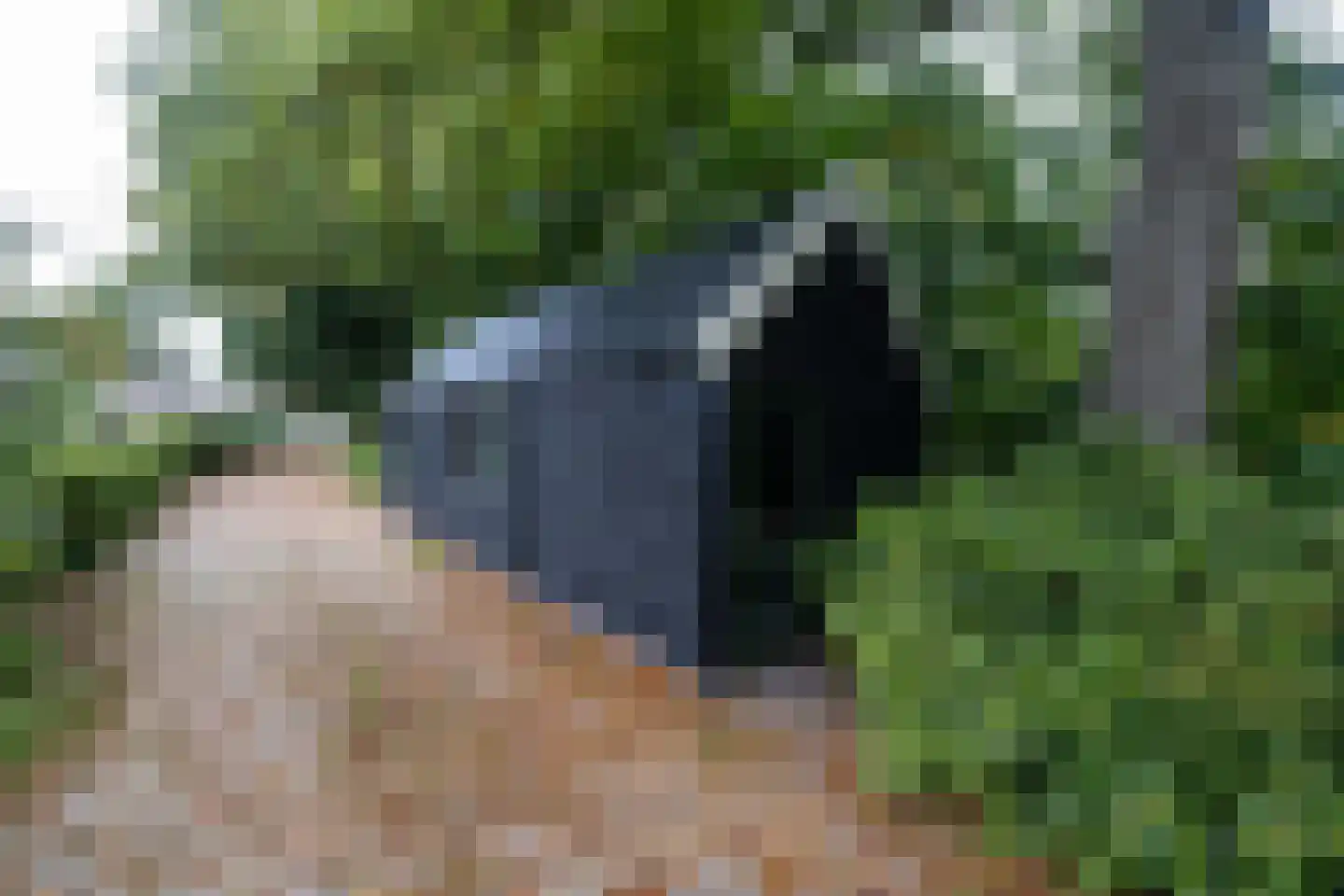 Hollewandsweg 20 Zwolle thumbnail 57