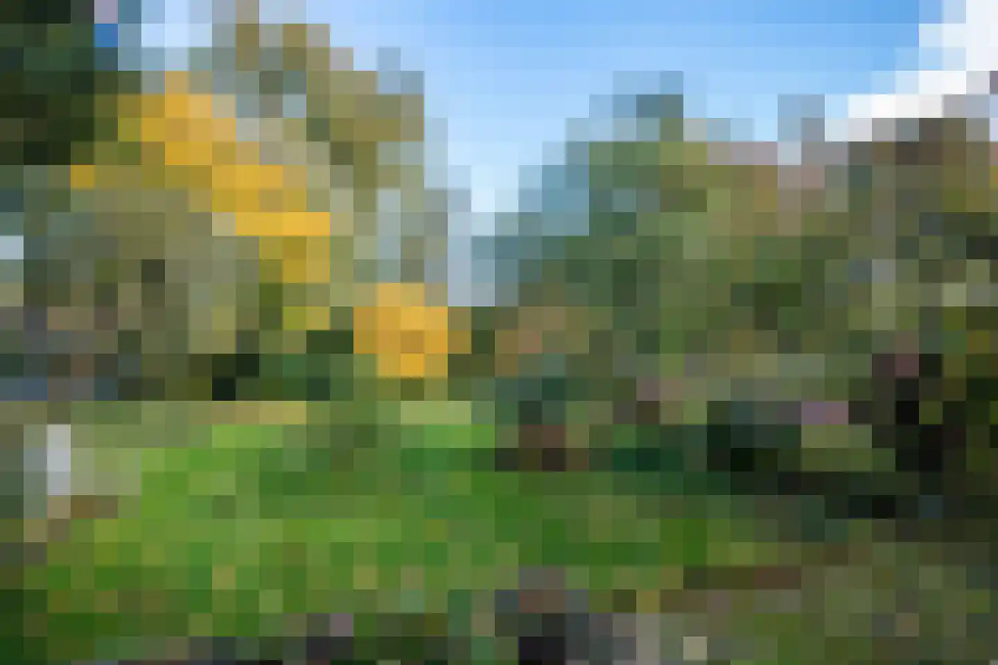 Hollewandsweg 20 Zwolle thumbnail 57