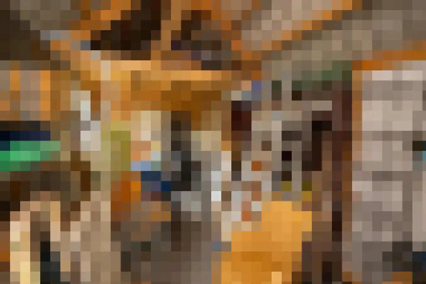Hollewandsweg 20 Zwolle thumbnail 58