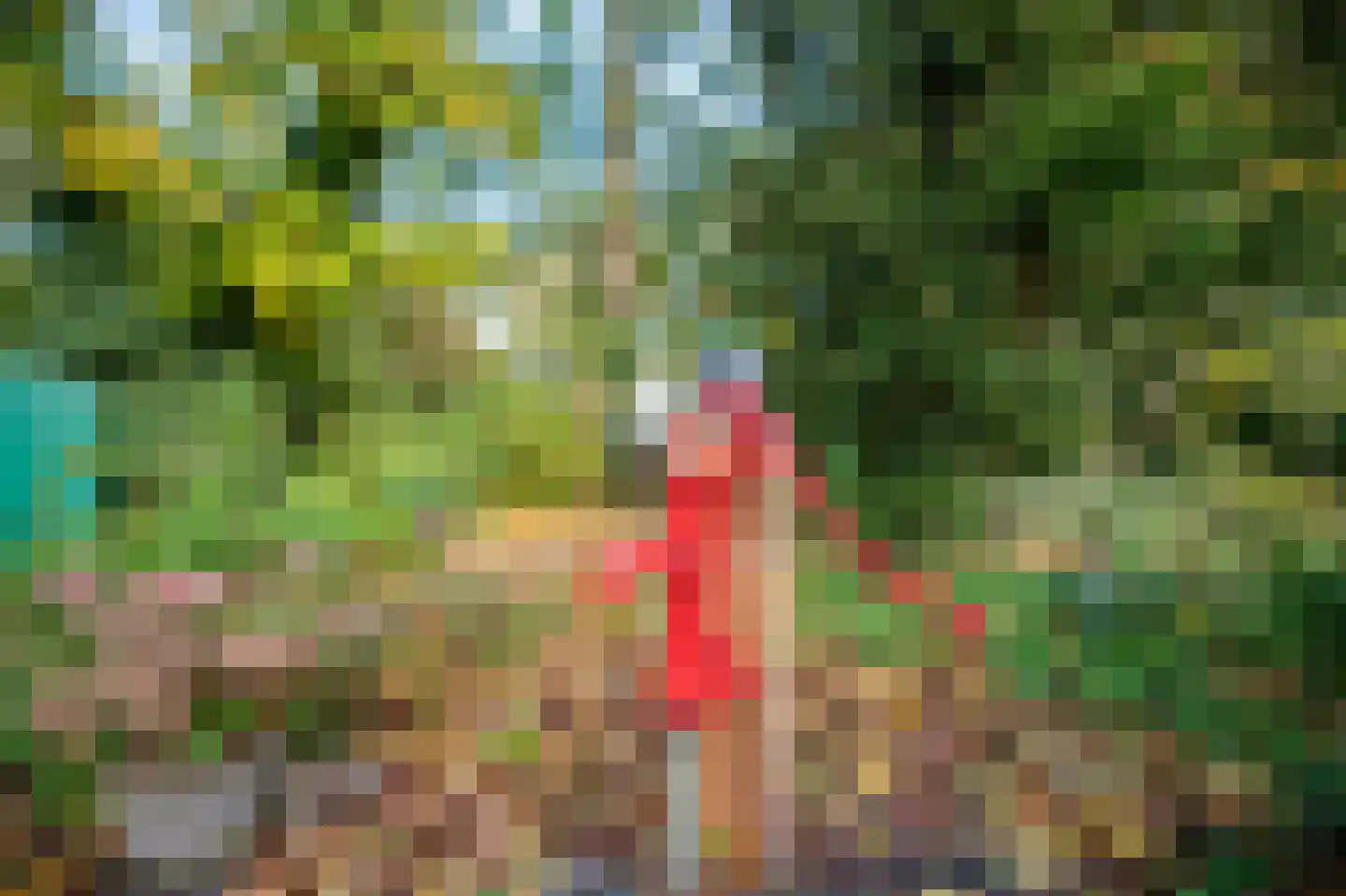 Hollewandsweg 20 Zwolle thumbnail 59