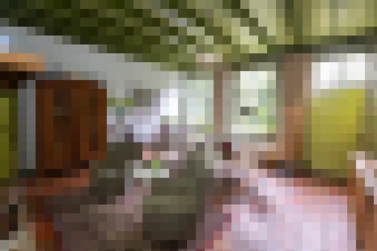 Hollewandsweg 20 Zwolle thumbnail 6