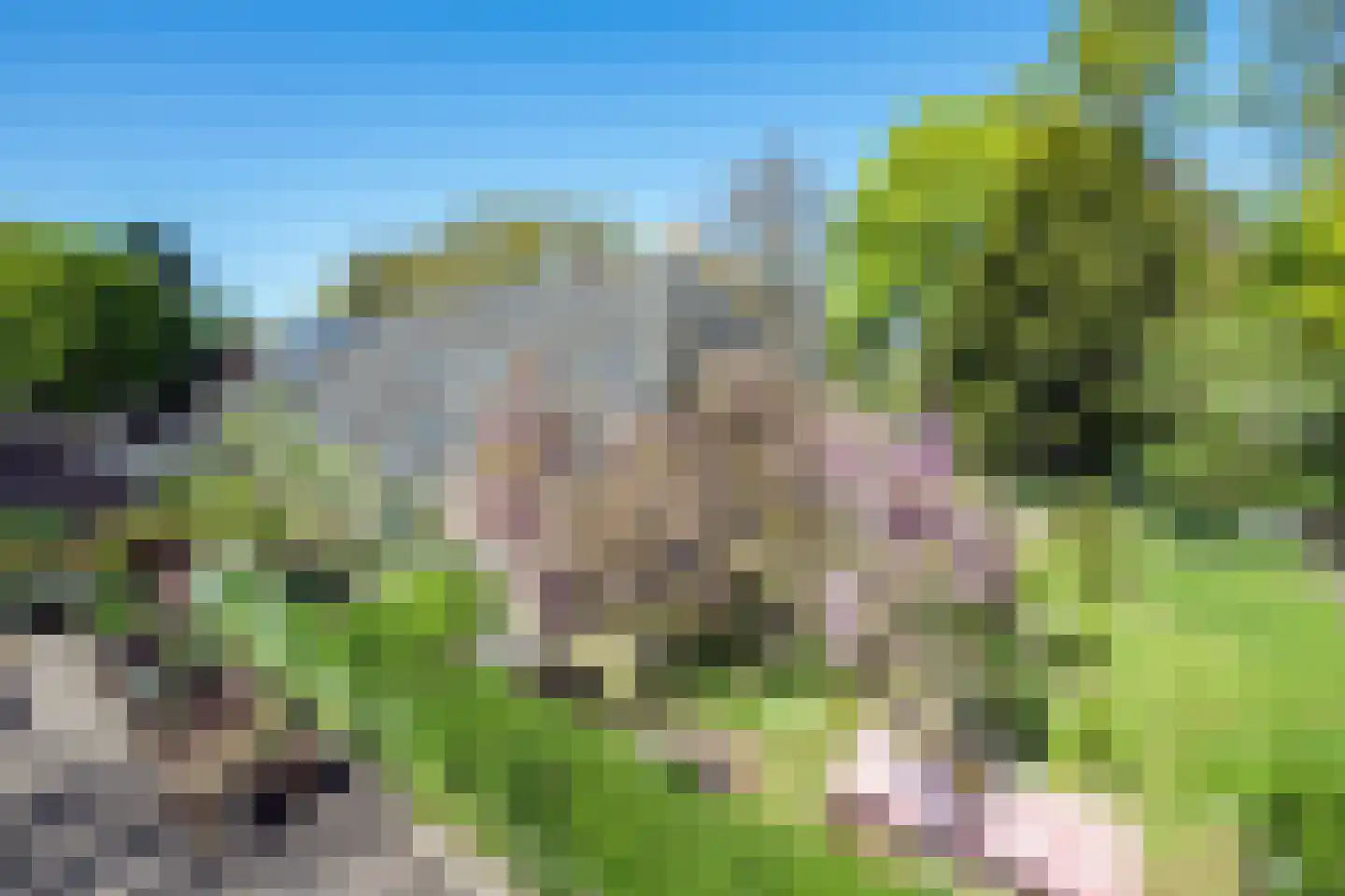 Hollewandsweg 20 Zwolle thumbnail 7