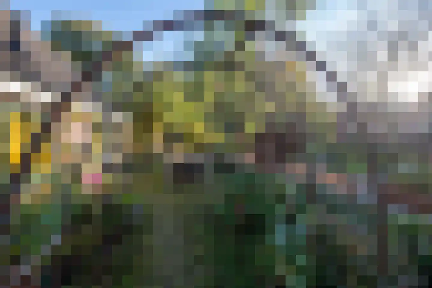 Hollewandsweg 20 Zwolle thumbnail 8