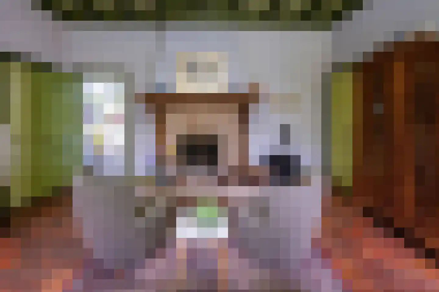 Hollewandsweg 20 Zwolle thumbnail 8