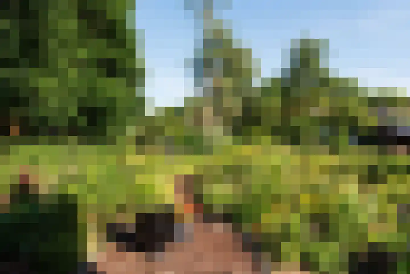 Holleweg 100 Heiloo thumbnail 10
