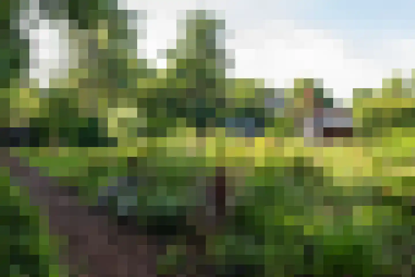 Holleweg 100 Heiloo thumbnail 11