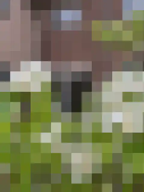Holleweg 100 Heiloo thumbnail 13