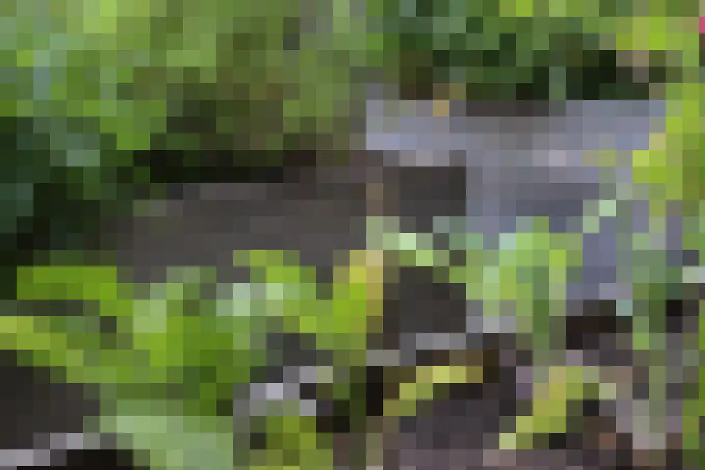 Holleweg 100 Heiloo thumbnail 18