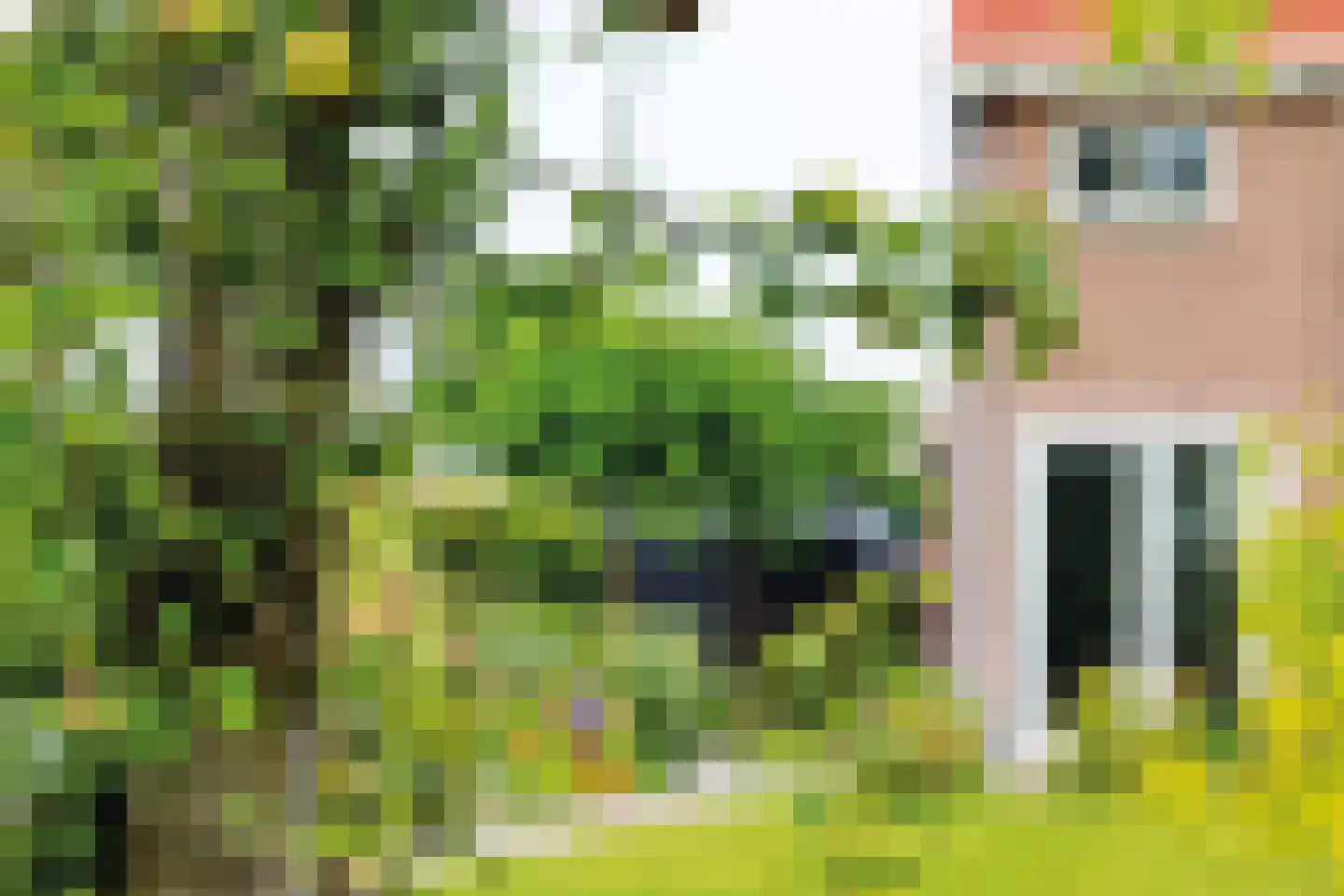 Holleweg 100 Heiloo thumbnail 19