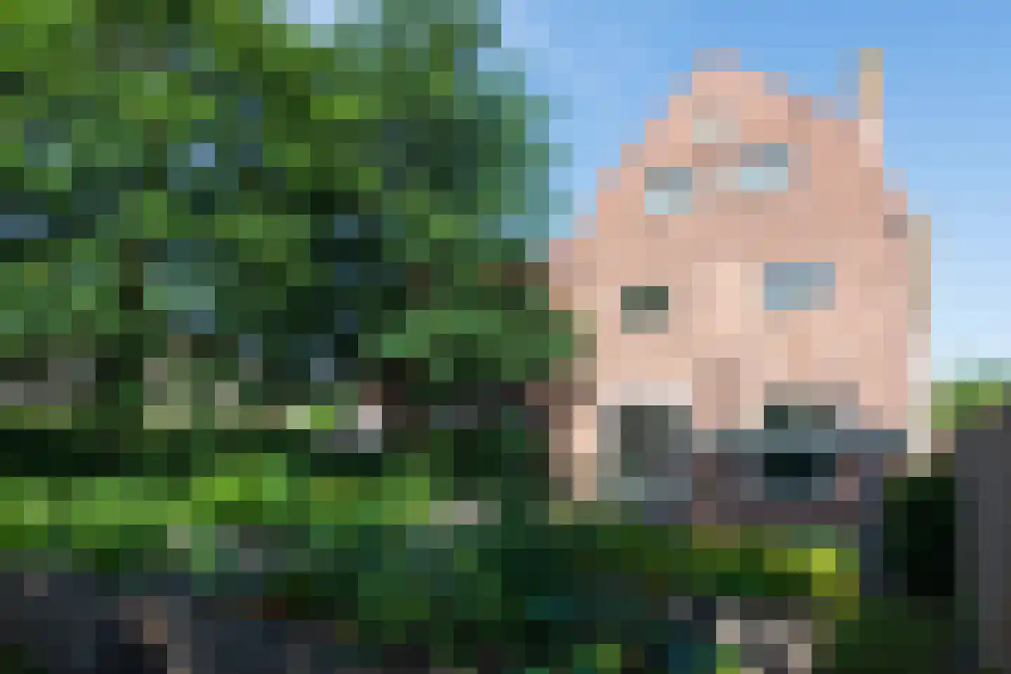 Holleweg 100 Heiloo thumbnail 19