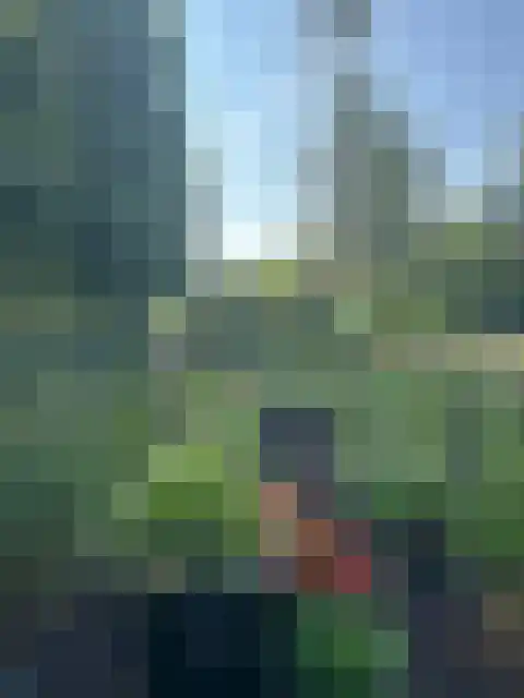 Holleweg 100 Heiloo thumbnail 23
