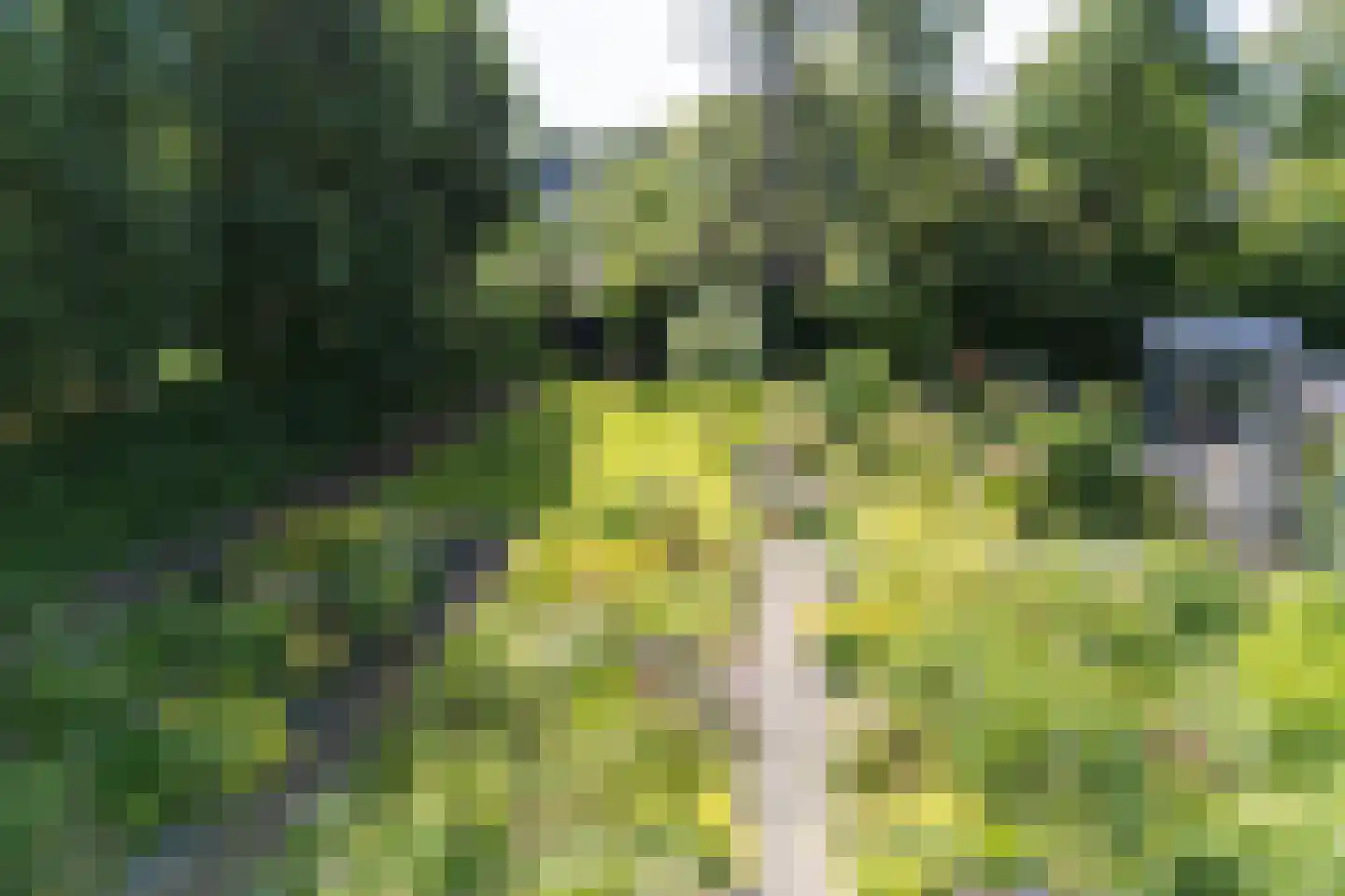 Holleweg 100 Heiloo thumbnail 26