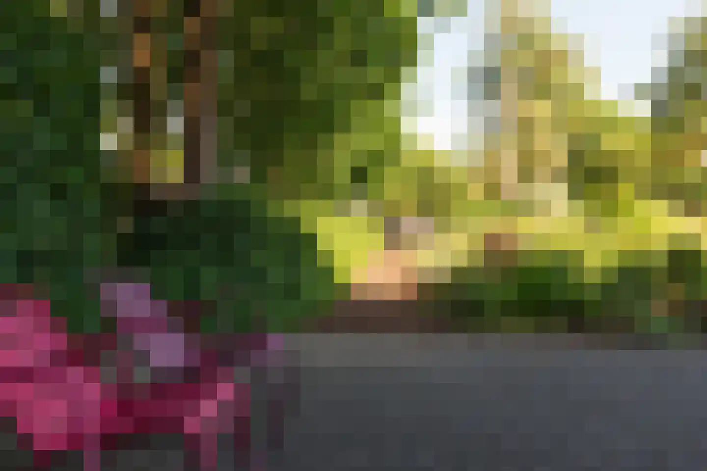 Holleweg 100 Heiloo thumbnail 6