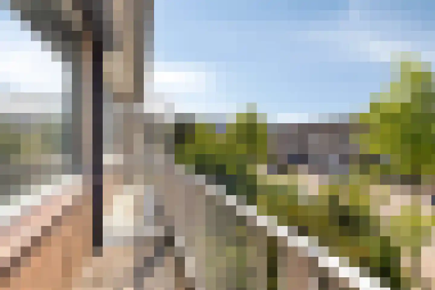 Holleweg 131 Bergen op Zoom thumbnail 20