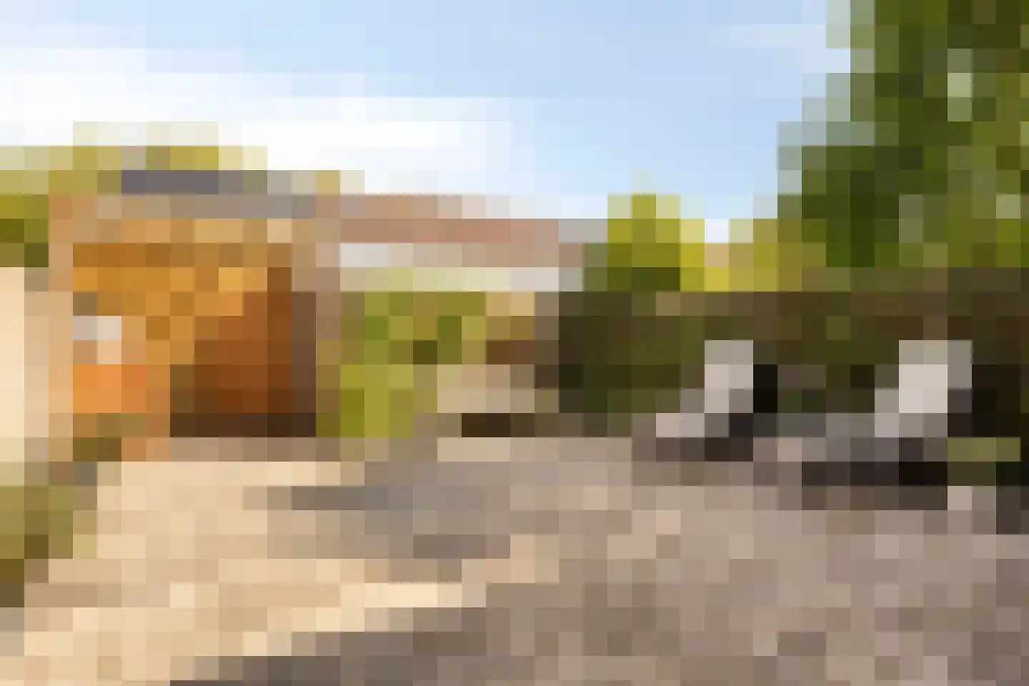 Holleweg 131 Bergen op Zoom thumbnail 30