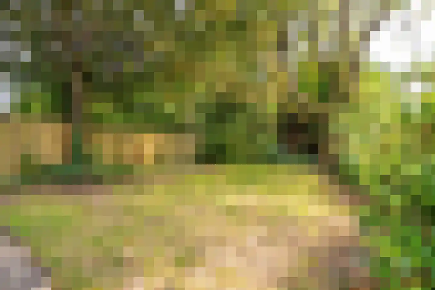 Holleweg 149 Heiloo thumbnail 26
