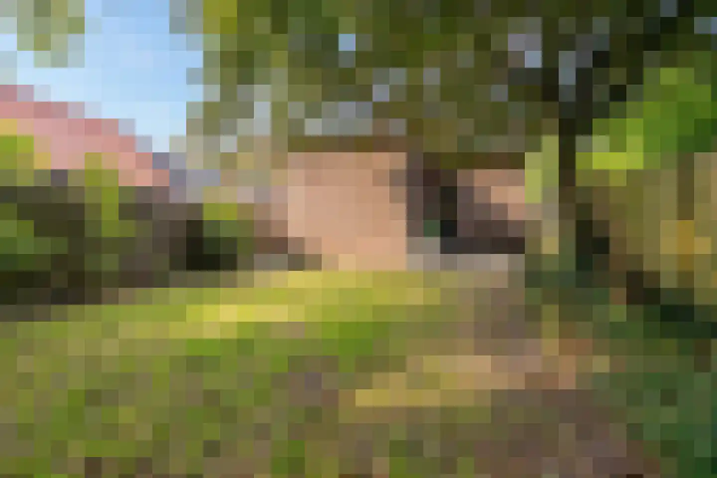Holleweg 149 Heiloo thumbnail 28