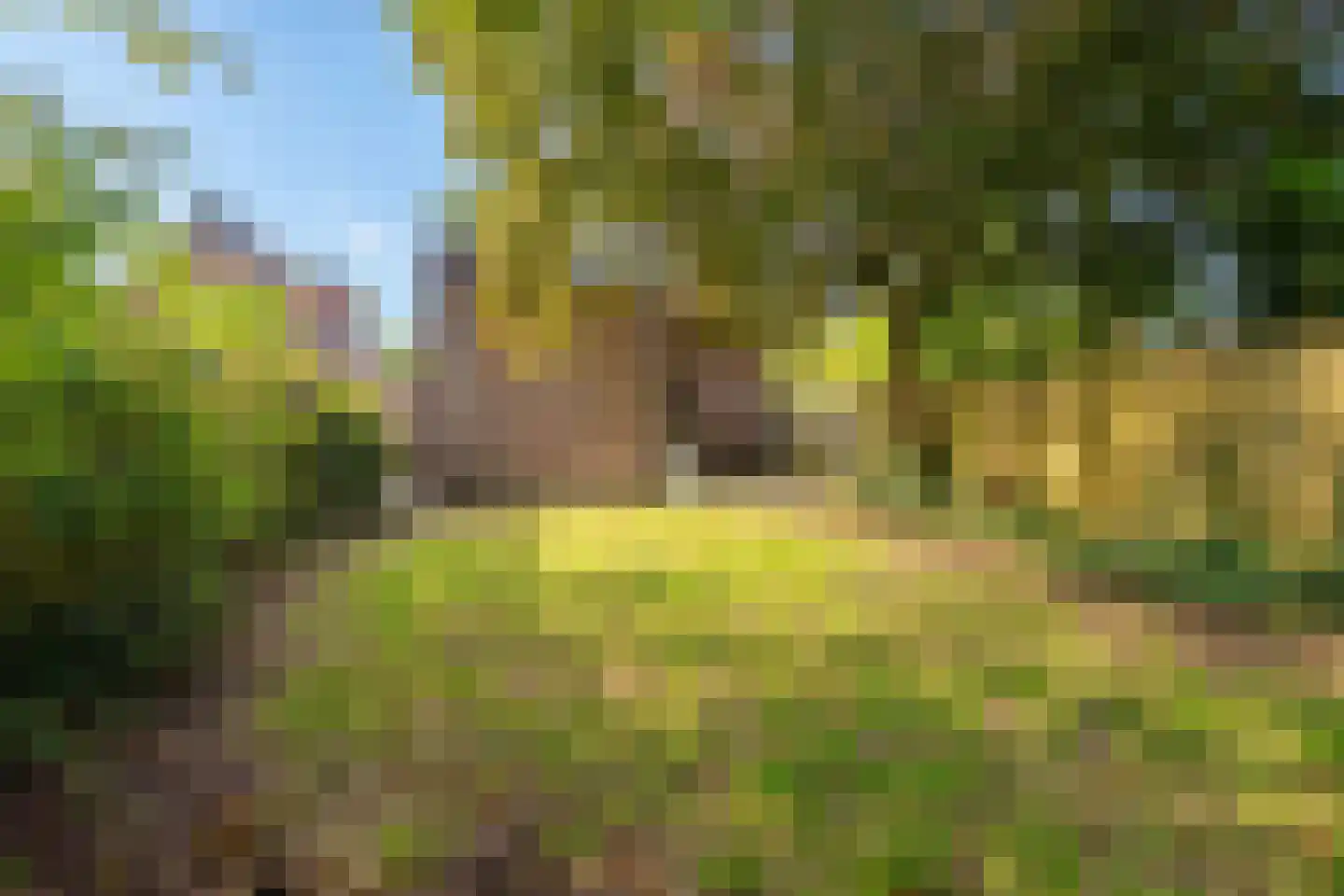 Holleweg 149 Heiloo thumbnail 29
