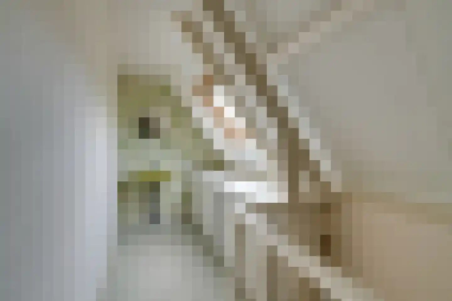 Holleweg 149 Heiloo thumbnail 32