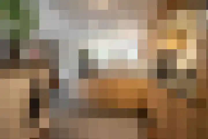 Holleweg 16 Herten thumbnail 14